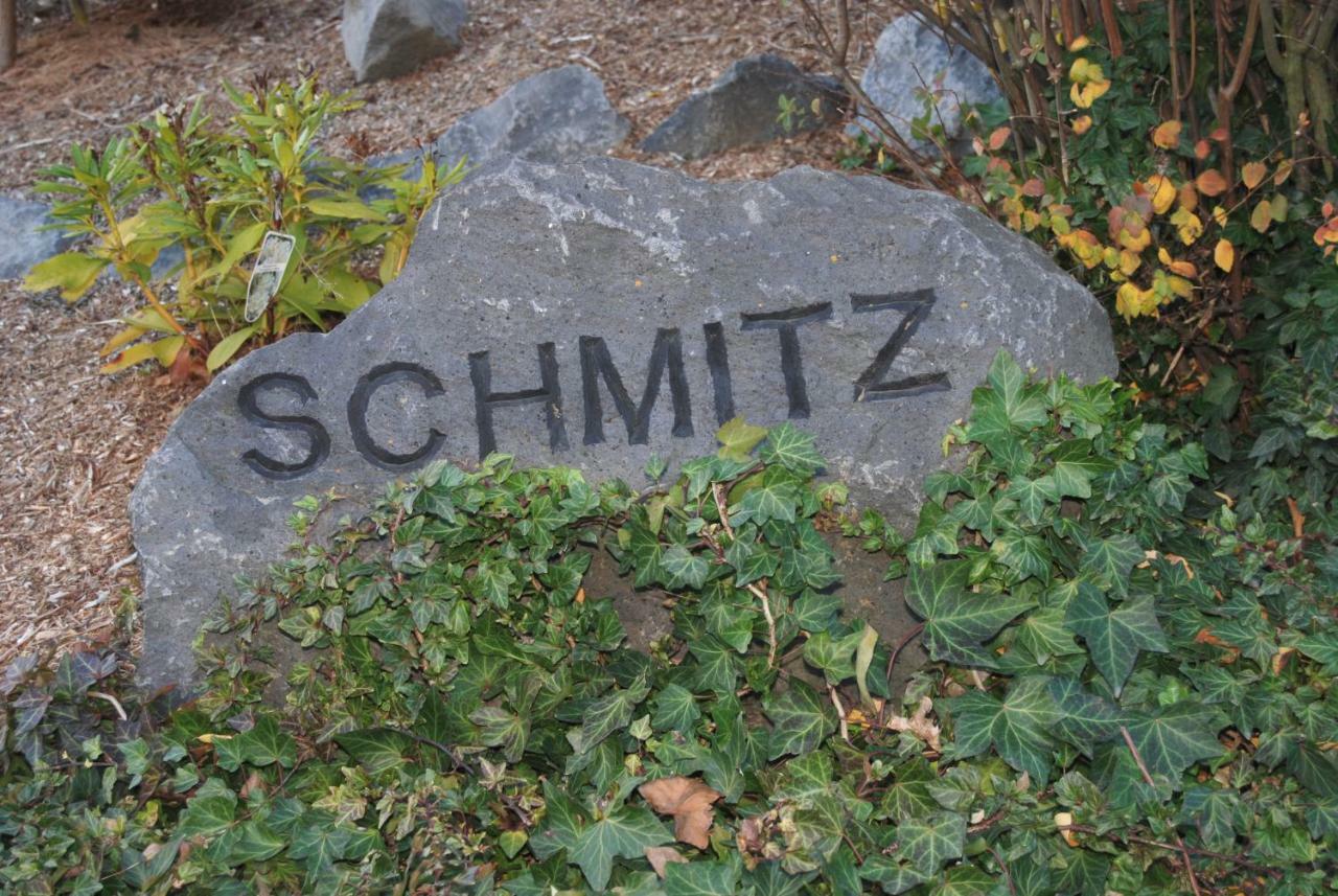 Ferienwohnung Schmitz Anschau المظهر الخارجي الصورة
